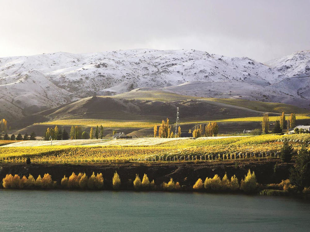 new zealand